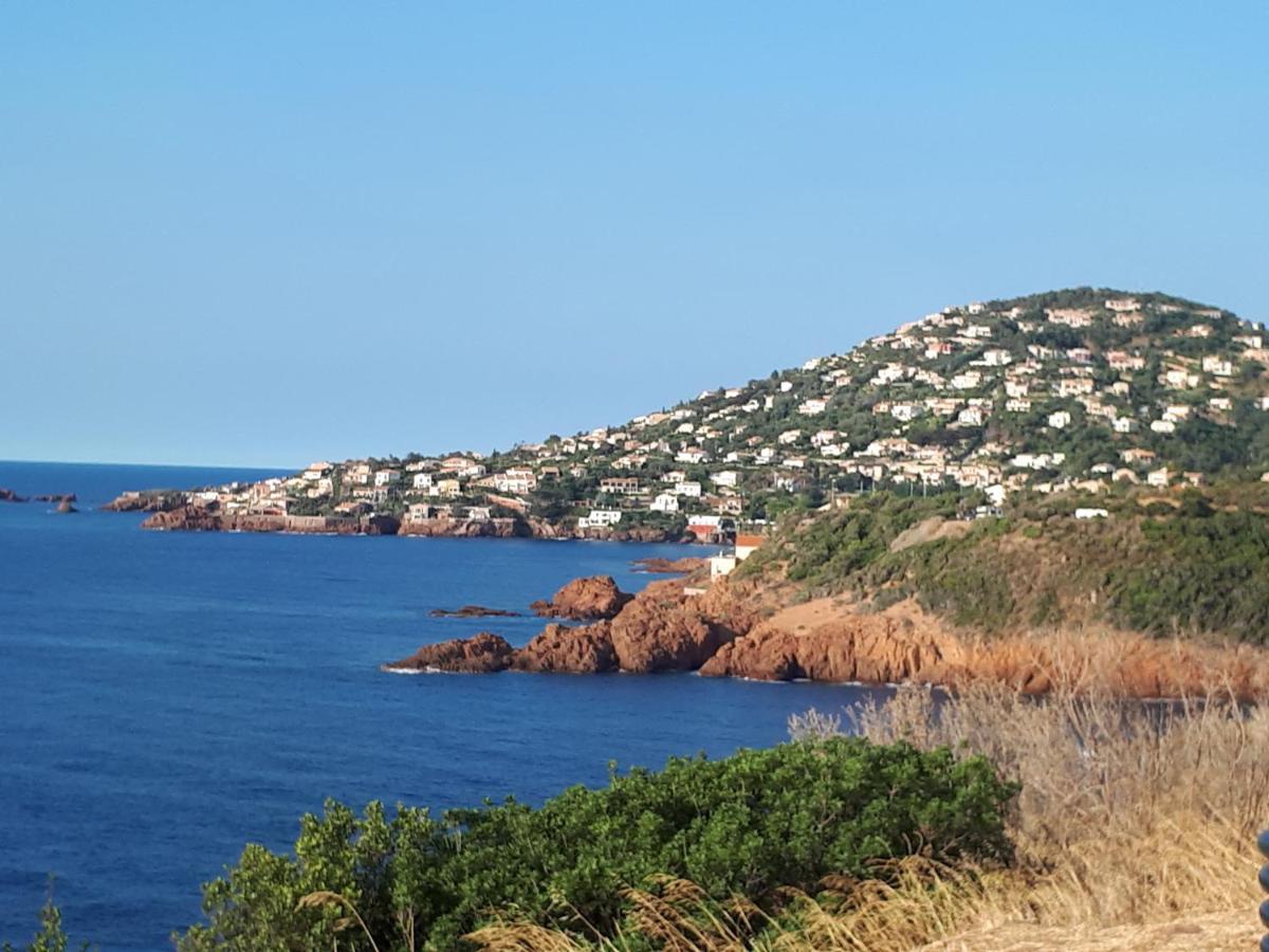 Frejus Plage T2, Piscine, Parking, Plages A 200M Eksteriør billede