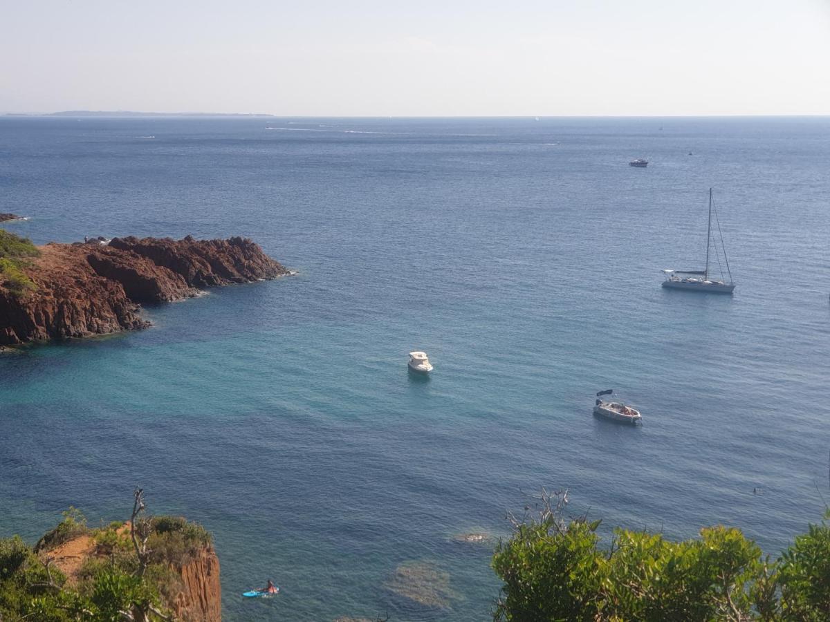 Frejus Plage T2, Piscine, Parking, Plages A 200M Eksteriør billede