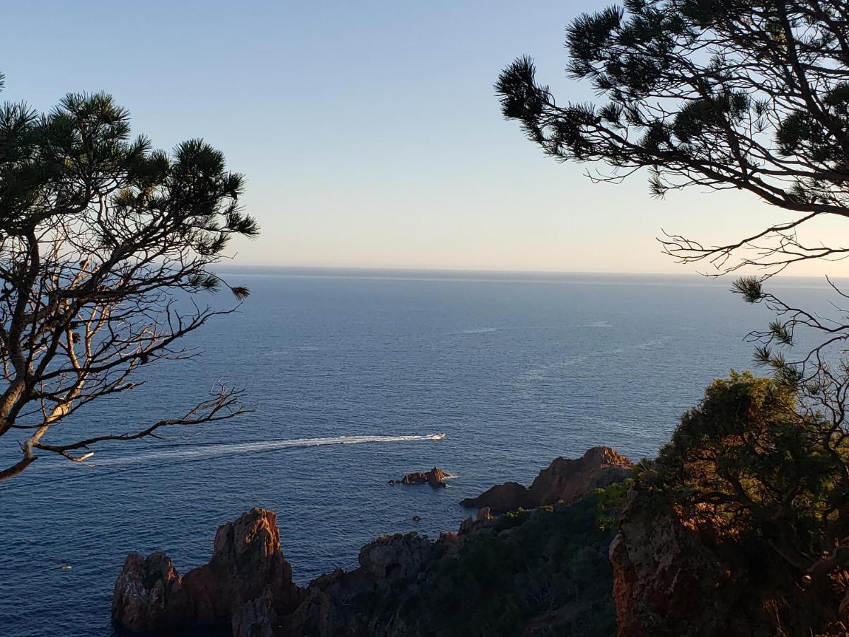 Frejus Plage T2, Piscine, Parking, Plages A 200M Eksteriør billede